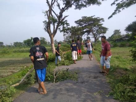 Kerjabakti Karangtaruna Dusun Krapyak Wetan